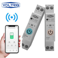 VOLTRIQ usine 63A TUYA compteur de synchronisation protection contre les surcharges tension WiFi télécommande sans fil interrupteur de disjoncteur intelligent