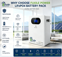 Batterie de stockage d'énergie murale à longue durée de vie 25,6V 100Ah 2560Wh LiFePO4 Lithium avec BMS intégré pour un stockage de puissance sécurisé