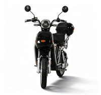 10-Inch Vintage Electric Motorcycle-Lightweight Pedal Bike with 48V Motor 35KM/H Max Speed