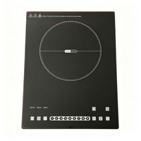Table de cuisson à induction intégrée 2200W, double usage, plaque chauffante électrique avec fonction Hotpot, commande tactile