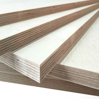Panneau de contreplaqué marin en bouleau stratifié HPL de 18 mm, imperméable et antidérapant, style design moderne