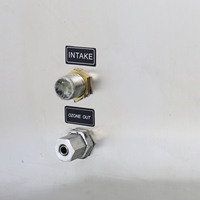 Generador de Ozono Comercial de Acero Inoxidable de 40 g/h para Esterilización de Agua en Hoteles y Resorts