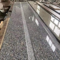 Carreaux de revêtement mural et de sol en granit poli de haute qualité, modèle G383, motif fleur de perle, découpés sur mesure 300x300, pour villas modernes