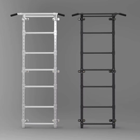 Vente en gros échelle portable de haute qualité équipement de fitness sportif rack d'entraînement de puissance en vente