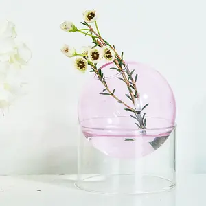 북유럽 꽃병 가정 장식 섬세한 작은 꽃병 우아한 투명 컬러 앰버 핑크 붕규산 유리 꽃병