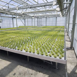 Banc roulant pour culture hydroponique avec table <span class=keywords><strong>de</strong></span> marée, lit <span class=keywords><strong>de</strong></span> semis mobile à double couche pour serre hydroponique - Product Image 4