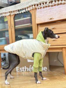 ग्रेहाउंड सभी मौसमों मोटी डबल परत वाली कपास बनियान गर्म मजबूत कपड़े - Product Image 3