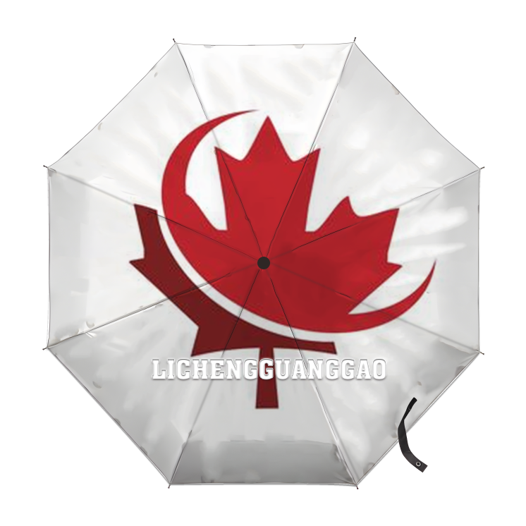 Canada 8