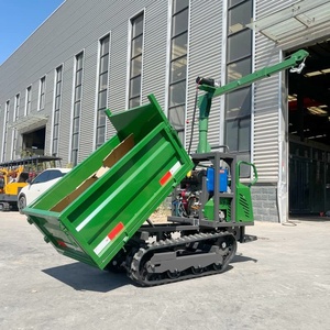 Produits les plus vendus : Mini-dumper professionnel sur chenilles avec grue - Product Image 5