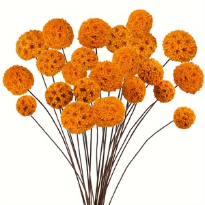 24 Billy Balls, <span class=keywords><strong>Fiori</strong></span> Naturali Essiccati, Bouquet per <span class=keywords><strong>Vaso</strong></span>, Centrotavola per Matrimoni, Decorazione Fai-<span class=keywords><strong>da</strong></span>-Te per la Casa - Product Image 6