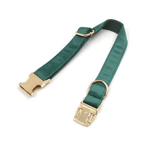 Las ÚLTIMAS TENDENCIAS DE PRODUCTOS 2025, elegante <span class=keywords><strong>collar</strong></span> de entrenamiento de terciopelo para perros, hebilla dorada, Esmeralda, soporte para bolsa de caca de perro, correas de poliéster para mascotas - Product Image 6