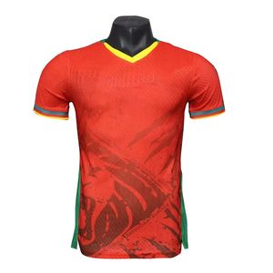 Tenue de football Coupe d'Afrique 2526 <span class=keywords><strong>Cameroun</strong></span> Maroc Tunisie Algérie Sénégal Mali Égypte Zambie Comores - Product Image 2