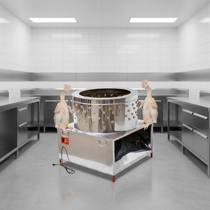 Machine à plumer automatique multifonctionnelle pour poulet, caille, <span class=keywords><strong>pigeon</strong></span> et autres volailles - Product Image 2