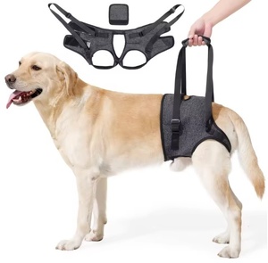 Arnés de Soporte Ajustable para Mascotas, Correa de Poliéster Transpirable para Levantar las Patas Traseras del Perro, para Ayudar a Caminar Diariamente - Product Image 1