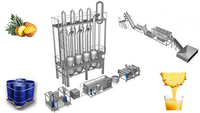 Kleine Ananas Concentraat Sap Fles Vullende Plant Productielijn Tropische Ananas Nfc Sap Maken Machine
