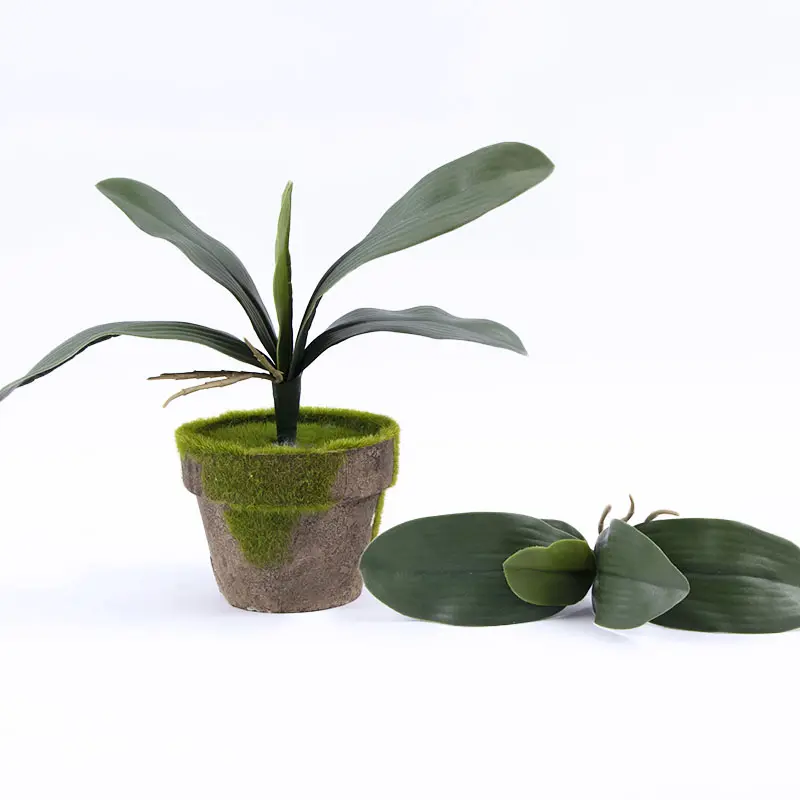 Plante Verte à Vapeur Multiple Intérieur Plastique Soft Real Touch Décoration Plante Artificielle Phalaenopsis Orchidées Feuille