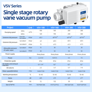 Bomba de Vacío Feiyue <span class=keywords><strong>VSV</strong></span>-20P, Bomba de Vacío Eléctrica Confiable de la Serie <span class=keywords><strong>VSV</strong></span>, Bomba de Vacío Pequeña de Una Etapa, Bomba de Extracción de Aire Industrial - Product Image 6