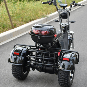 Triciclo EHoodax 05WQ con Logotipo Personalizado OEM ODM Disponible, Neumático Grueso de 18 Pulgadas, Motor Cerrado de 2000W, 30-50 km/h, 30-50 km de Autonomía, Color Negro M - Product Image 3