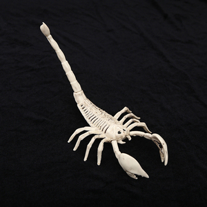 <span class=keywords><strong>Esqueleto</strong></span> realista <span class=keywords><strong>de</strong></span> araña <span class=keywords><strong>de</strong></span> murciélago Animal <span class=keywords><strong>de</strong></span> 9 pulgadas, 10 pulgadas y 11 pulgadas para decoración <span class=keywords><strong>de</strong></span> Halloween - Product Image 4