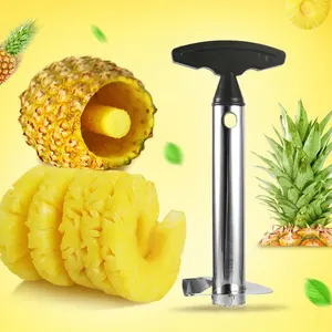Eenvoudig Keukengereedschap Roestvrijstalen Fruit Ananas Dunschiller Corer Snijder
