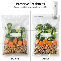 Machine de mise sous vide portable sans fil 65KPa à prix d'usine, dispositif de conservation alimentaire avec sacs réutilisables pour camping-car et voyage
