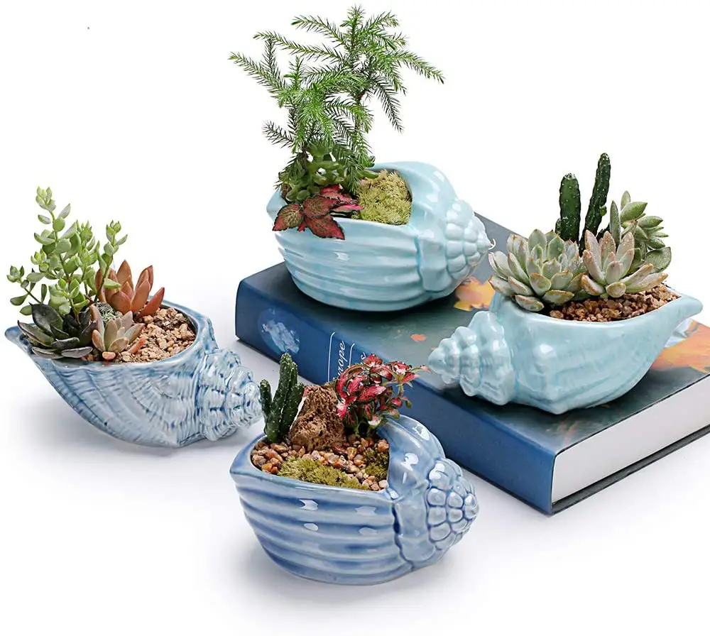 5.5 pollici blu conchiglia oceano serie ceramica pianta succulenta pianta pianta stella marina forma fioriere per giardinaggio decorativo