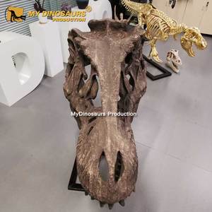 T-Rexヘッド化石My Dino人工グラスファイバーライフサイズ - Product Image 4