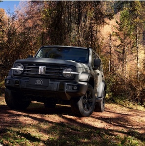 Auto Usado, Tank 300 SUV, 227 Caballos de Fuerza, Todoterreno Chino, Great Wall <span class=keywords><strong>Wey</strong></span> GWM Tank 300 Híbrido - Product Image 5
