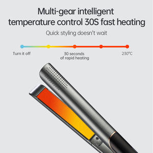 Lisseur de cheveux infrarouge à ions négatifs alimenté par batterie personnalisé pour un usage domestique et hôtelier - Product Image 2