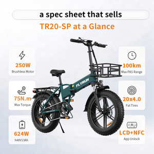 Bicicleta Eléctrica Plegable de 20 Pulgadas, 250W, 48V13Ah, 75 Millas de Autonomía, Protección BMS, 5 Niveles de PAS, Suministro de Repuestos, Freno de Disco IPX6, Stock en la UE y el Reino Unido, Venta al por Mayor - Product Image 1