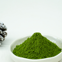 Poudre de feuilles de menthe poivrée séchées de qualité supérieure, herbe aromatique pour sachets de tisane