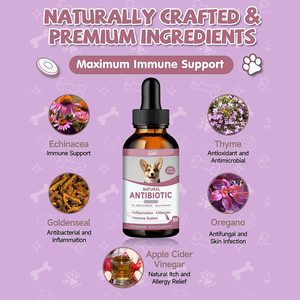 Gocce naturali a base di erbe Echinacea timo goldensare per cane supporto immunitario infezione infiammazione sollievo allergia pelle prurito - Product Image 4