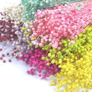 Fleurs séchées artificielles, plantes décoratives Hypericum, pour Arrangement floral, plantes artificielles - Product Image 5