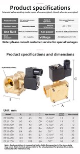 092200(NC)-AC220V NPPC merk 2-weg hogedruk waterklep, luchtpilot type, magneetventiel, messing kleplichaam voor gas, water, olie - Product Image 5