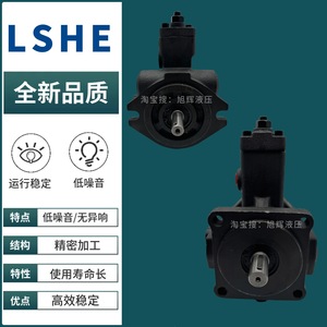 Lshe Variable Vane Pump Svpf 20 <b>70</b> B Hydraulic For Industrial Use - Product Image 2