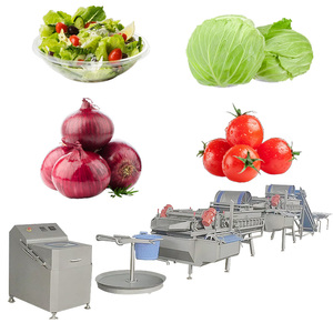 Máquina Industrial para Lavar Hojas de Ensalada 500kg/h - Product Image 1