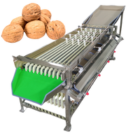Orbitale Fruitsorteermachine Oranje Walnoot Sorteerder Sizer Grader Tomaat Mangosteen Walnoot Sorteermachine
