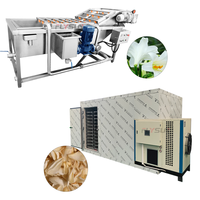 Intelligente warmtepomp droogapparatuur gesloten heteluchtcirculatie droogoven leliebollen was- en blancheringsdrooglijn