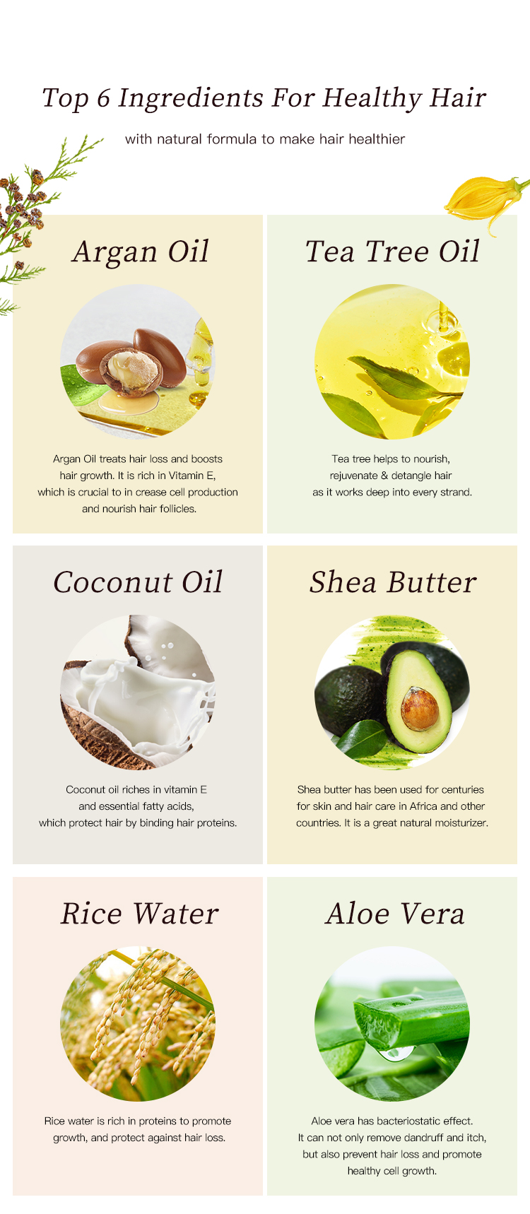custom natural dandruff wholesale hotel organic hair growth argan oil private label  african shampoo hair care treatment sets