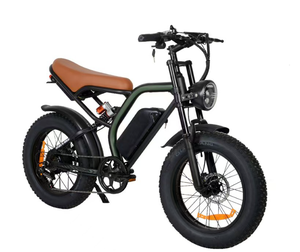20 Zoll 800W Hochgeschwindigkeits-Brushless-Motor Elektro-Schneefahrrad für Erwachsene Freizeit- und Geländefahrrad mit Elektroantrieb - Product Image 4