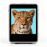 Module LCD TFT personnalisé 480x272 avec écran tactile résistif et rétroéclairage LED pour lecteur multimédia portable avec entrée vidéo