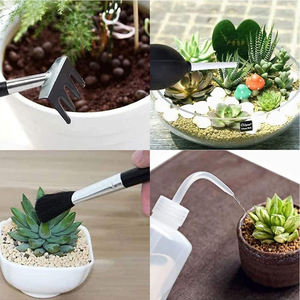 Juego de 13 Herramientas para Plantas Suculentas, Kit de Herramientas de Jardinería para Trasplante Manual, Accesorios para el Cuidado de Plantas para Bonsáis, Jardín Interior en Miniatura - Product Image 3