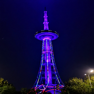 Architectural Color Wash <b>Light</b> for Building Facades <b>Trees</b> Parks Bridges Hotels and City Landscape Lighting Projects - Product Image 1