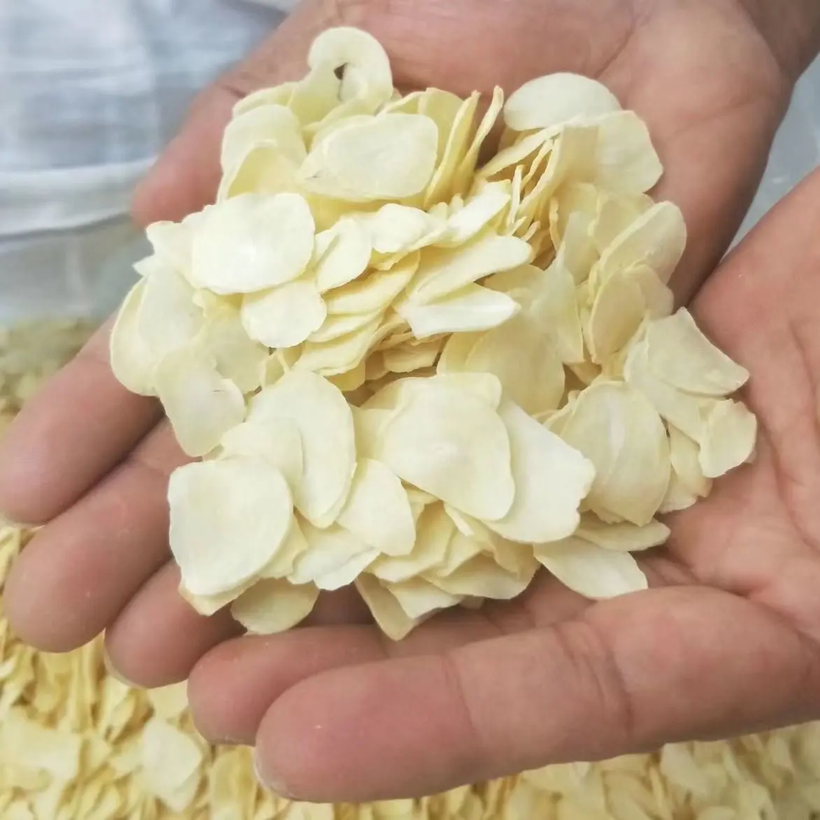 GXWW Guangxi New Crop First Dried Style Pure White Dry Garlic Flake Peeled Garlic Price