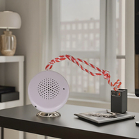 OEM Portable 1 an de garantie bébé blanc bruit berceuse sommeil sucette son haut-parleur pour usage domestique