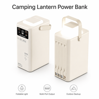 Batterie externe haute capacité pour le camping en plein air, 80000 mAh, PD22.5w, charge rapide, avec double port USB Type-C, 4 câbles, lumière LED