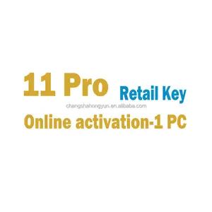 Vinci 11 chiavi Pro Retail 100% l'attivazione Online vince 11 chiave digitale professionale 1 pz invio dalla pagina di Chat Ali