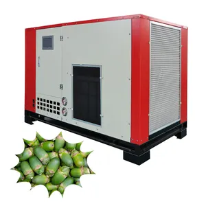 High quality dryer for fruits and vegetables fruit drying production line industrial vacuum dryer