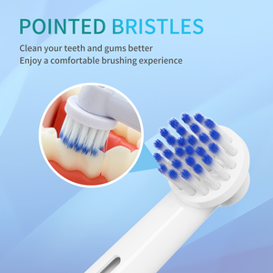 Tête <span class=keywords><strong>de</strong></span> brosse à dents à poils souples <span class=keywords><strong>de</strong></span> remplacement compatible avec Ral <span class=keywords><strong>B</strong></span> D12 D16 D100 P4000, fabricant OEM ODM - Product Image 4