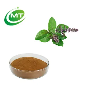 Free Sample Holy Basil Extract Plant Extract 12:1 holy basil extract powder